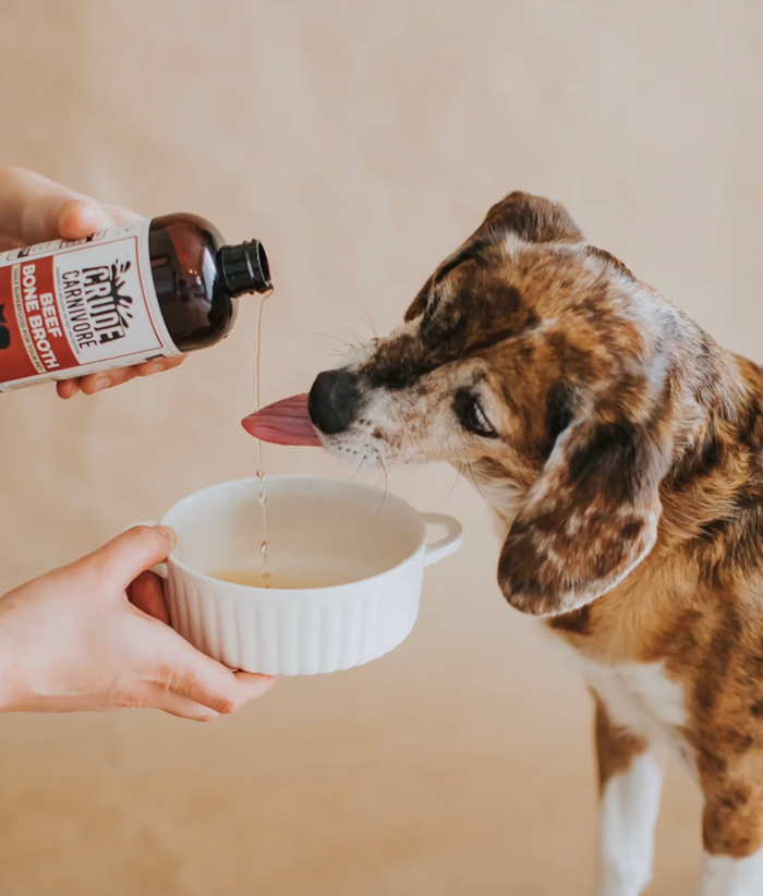 Good Company: Crude Carnivore