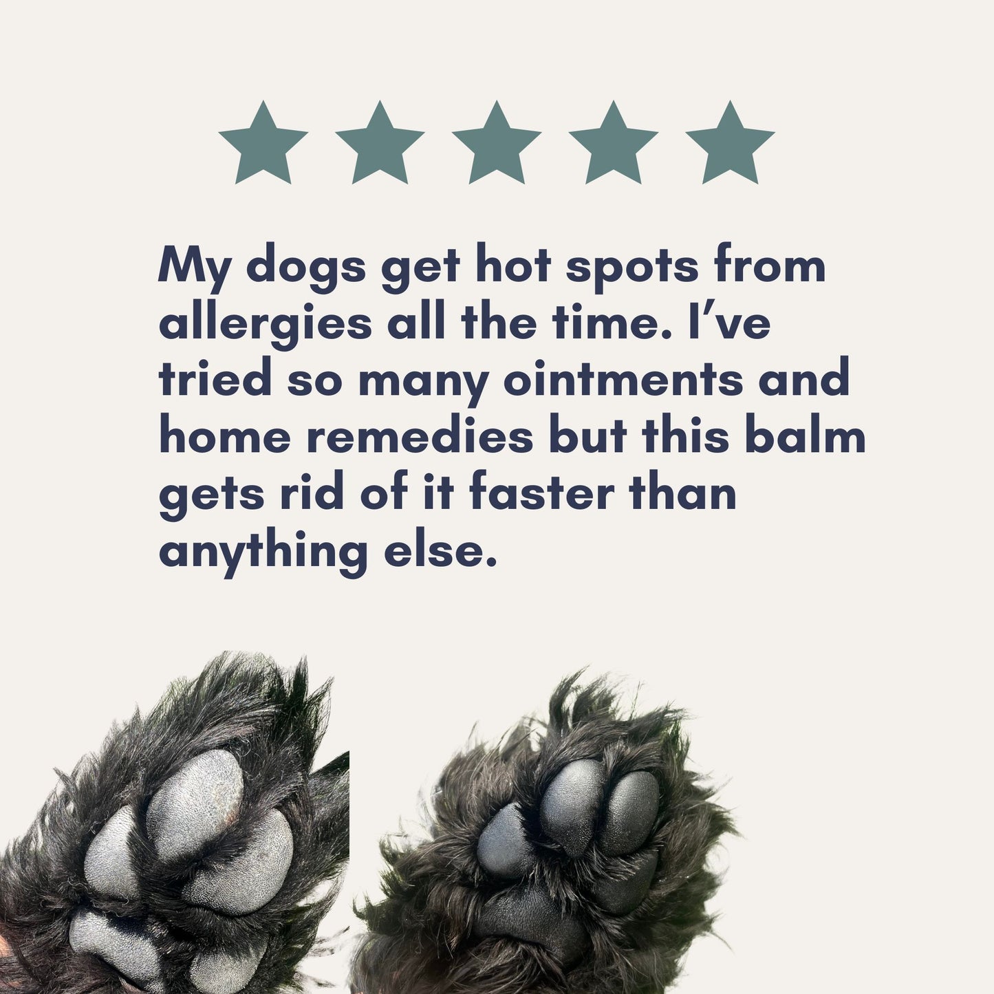 3-in-1 Balm — Nose, Paw & Skin