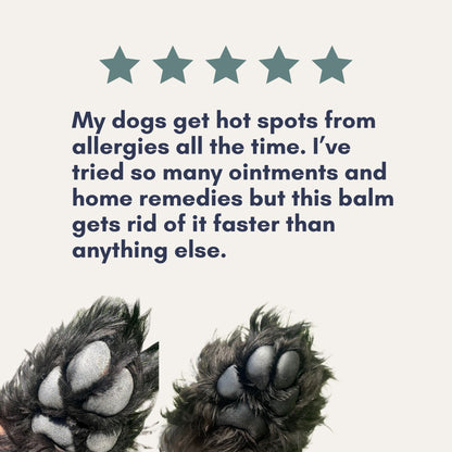 3-in-1 Balm — Nose, Paw & Skin