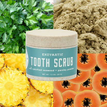 Enzymatic Dog Tooth Scrub — Natural Dental Powder