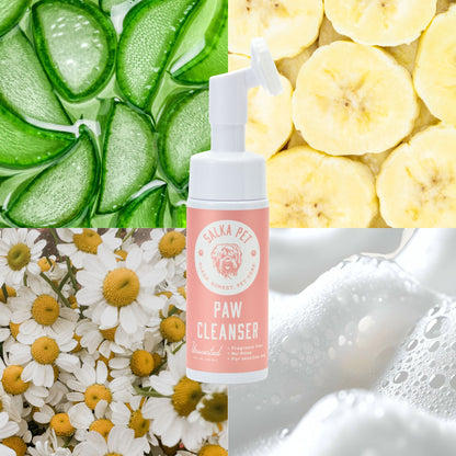 Rinse-Free Dog Paw Cleanser