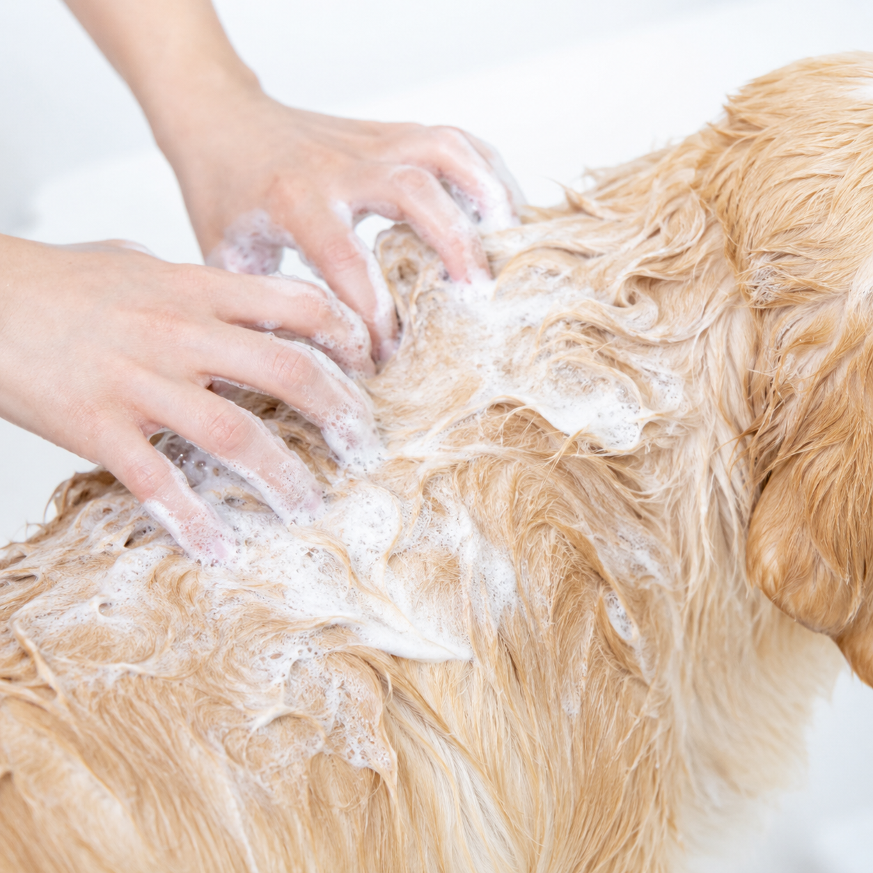 Hypoallergenic Dog Shampoo for Sensitive & Itchy Skin