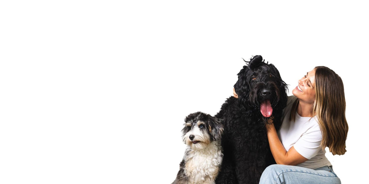 Madelyn with her two dogs