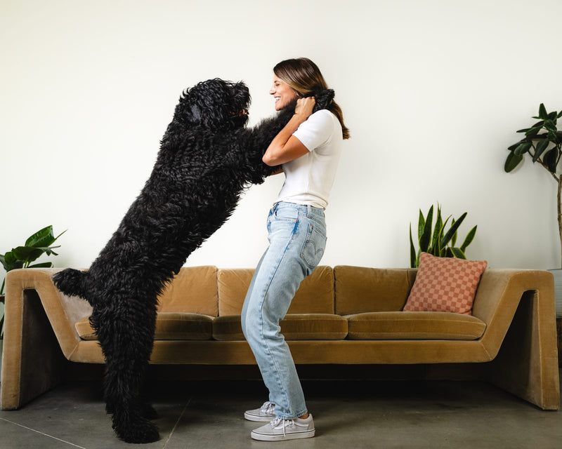 Madelyn, founder of SalkaPet, with her dog